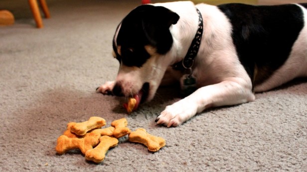 UNADJUSTEDNONRAW_thumb_1398d