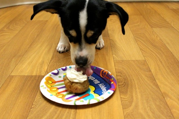 b+LH2xdERI2kvgjrOuj2aA_thumb_12bb7