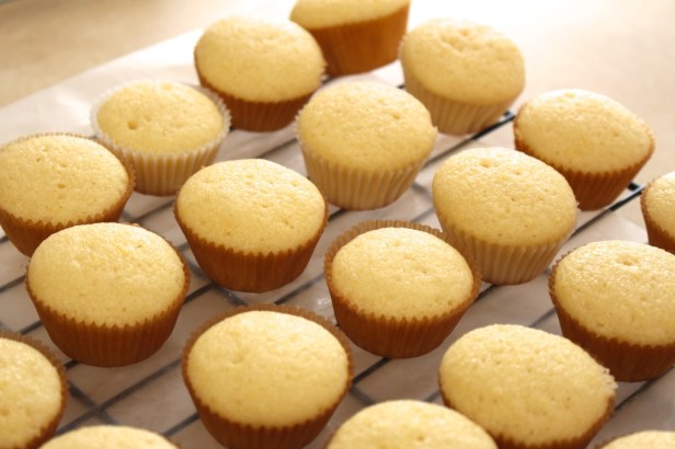 EEmNVwocSYa+DSa1MyFafw_thumb_12e3d